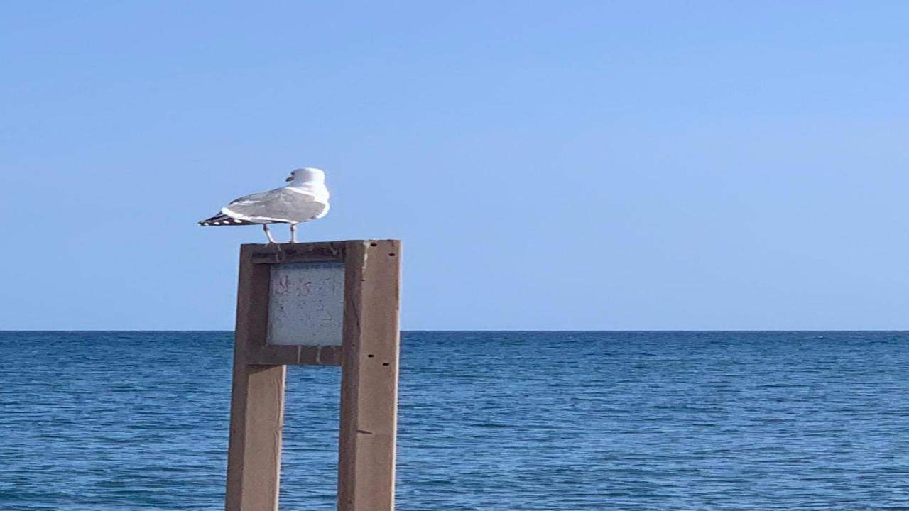 Welooveyou Aqua Лахита Экстерьер фото